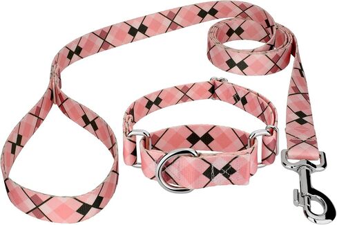 Country Brook Petz - Puppy Picnic Martingale Dog Cog and Leash - مجموعة منقوشة و Argyle التي تتميز بتصميمات ساحرة (1/2 بوصة ، صغيرة جدًا) in Saudi Arabia