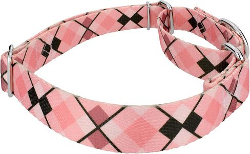 Country Brook Petz - Puppy Picnic Martingale Dog Cog and Leash - مجموعة منقوشة و Argyle التي تتميز بتصميمات ساحرة (1/2 بوصة ، صغيرة جدًا) in Saudi Arabia
