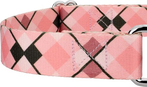 Country Brook Petz - Puppy Picnic Martingale Dog Cog and Leash - مجموعة منقوشة و Argyle التي تتميز بتصميمات ساحرة (1/2 بوصة ، صغيرة جدًا) in Saudi Arabia