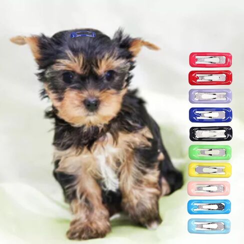 50 PCS Dog Hair Clips ، Multicolor Dog Barrettes for Drash Dogs Hair ، Pet Hair Barrettes Grooming Hairpin Association for Dogs Cats Puppy Bunny Chinchilla Guina Pig in Saudi Arabia