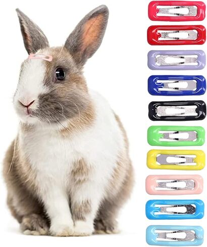 50 PCS Dog Hair Clips ، Multicolor Dog Barrettes for Drash Dogs Hair ، Pet Hair Barrettes Grooming Hairpin Association for Dogs Cats Puppy Bunny Chinchilla Guina Pig in Saudi Arabia
