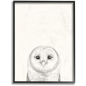 Stupell Industries Owl Portrait Grey Drawing Design, Designed by Victoria Borges Wall Art, 16 x 1.5 x 20, Black Framed