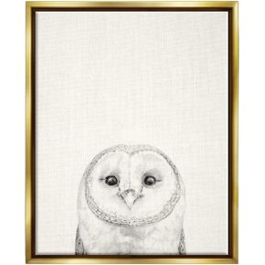 Stupell Industries Owl Portrait Grey Drawing Design, Floater Frame, Design by Victoria Borges