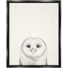 Stupell Industries Owl Portrait تصميم رسم باللون الرمادي، إطار عائم، تصميم فيكتوريا بورخيس in Kuwait