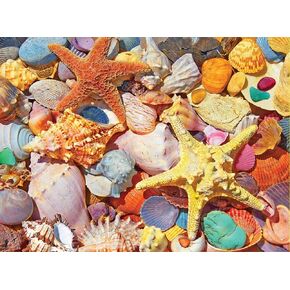 White Mountain Puzzles Beach Shells - 500 Piece Jigsaw Puzzle