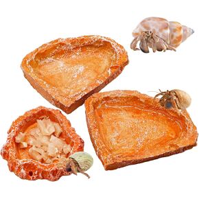 3 Pack Reptile Food Dish, Resin Hermit Crab Food & Water Bowl, Reptile Feeding Food Dish Kit, Tank or Aquarium Accessory, Suitable for Turtle Lizard Hermit Crab Snail Bearded Dragon Leopard Gecko