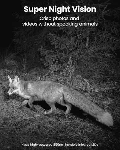 كاميرا تريل، 42 ميجابكسل 4 كيه 0.05 ثانية، كاميرا ألعاب مع رؤية ليلية IP66 مقاومة للماء 100 قدم 130 درجة زاوية واسعة لمراقبة الحياة البرية in Kuwait