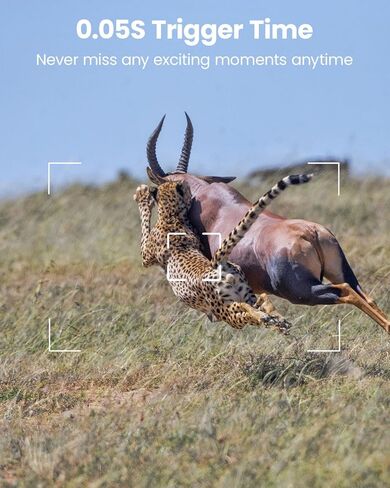 كاميرا تريل، 42 ميجابكسل 4 كيه 0.05 ثانية، كاميرا ألعاب مع رؤية ليلية IP66 مقاومة للماء 100 قدم 130 درجة زاوية واسعة لمراقبة الحياة البرية in Kuwait