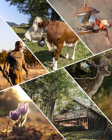 كاميرا تريل، 42 ميجابكسل 4 كيه 0.05 ثانية، كاميرا ألعاب مع رؤية ليلية IP66 مقاومة للماء 100 قدم 130 درجة زاوية واسعة لمراقبة الحياة البرية in Kuwait