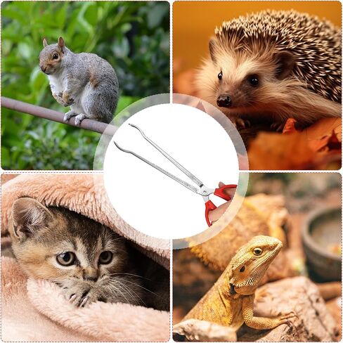 Reptile Feeding Tongs, 15 Inch Snake Feeding Tongs Anti-Skid Easy-Grip Extra Long Tweezers for Terrarium Corn Ball Python Accessories Axolotl Bearded Dragon Feeding Supplies in Saudi Arabia