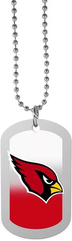 Siskiyou Sports NFL Fan Shop Minnesota Vikings Team Tag Necklace 26 inch Team Color in Kuwait