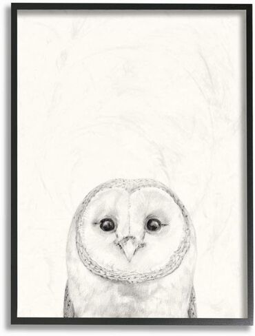 Stupell Industries Owl Portrait Grey Drawing Design, Designed by Victoria Borges Wall Art, 16 x 1.5 x 20, Black Framed in Saudi Arabia