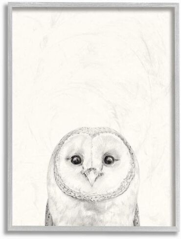 Stupell Industries Owl Portrait Grey Drawing Design, Designed by Victoria Borges Wall Art, 16 x 1.5 x 20, Black Framed in Saudi Arabia