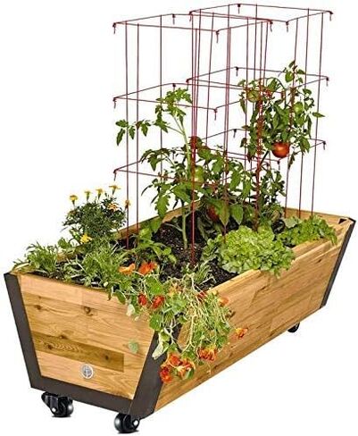 عجلات GBL شديدة التحمل مقاس 2 بوصة مزودة بفرامل + براغي - يصل وزنها إلى 440 رطلًا - مجموعة من 4 عجلات صامتة بدون علامات أرضية للأثاث - عربة مطاطية أو عجلات دوارة بمنصة نقالة - عجلات سوداء in Kuwait