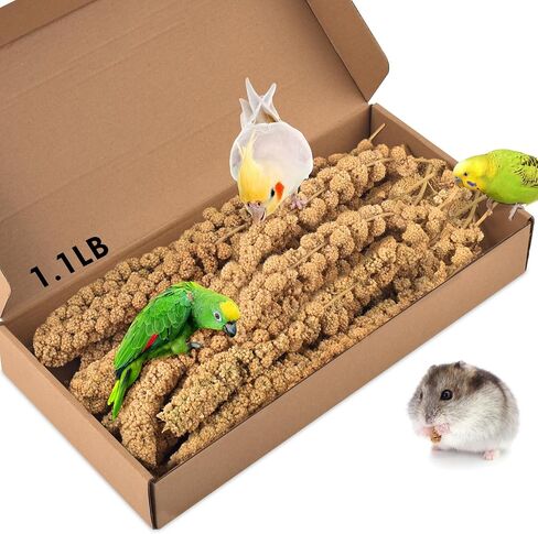 Katumo 1.1lb رذاذ الدخن علاج للطيور ، طيور الطائر المجفف بالشمس ببغاء الببغاء للبغاء الببغاء بودجي كوكاتييل in Kuwait