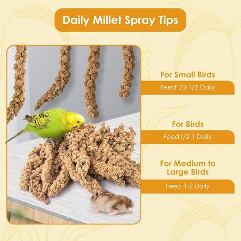 Katumo 1.1lb رذاذ الدخن علاج للطيور ، طيور الطائر المجفف بالشمس ببغاء الببغاء للبغاء الببغاء بودجي كوكاتييل in Kuwait