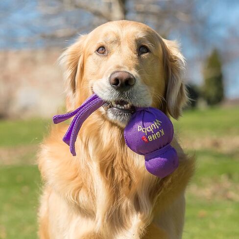 لعبة Kong Wubba Dog Toy Large Wubba ألوان متنوعة in Saudi Arabia