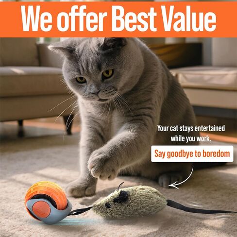 Motion Activated Automatic Cat Toys – GlobalSun Speedy Tail 2.0 Interactive Cat Toy Ball with Mouse Tail & 3 Attachments, USB-Rechargeable Rolling Enrichment Cat Toys for Indoor Cats in Saudi Arabia
