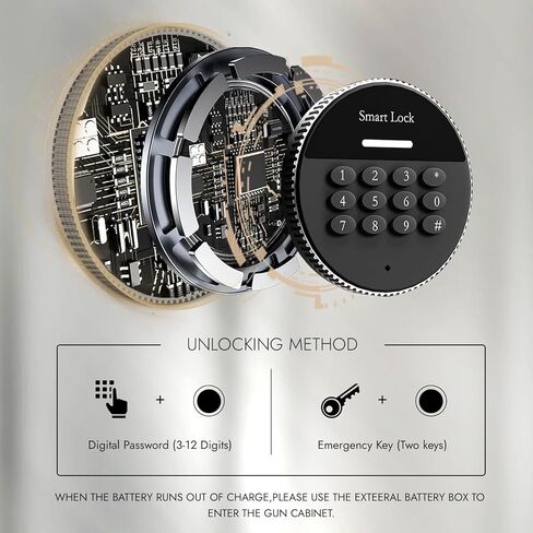 Kaer 2-3 بندقية آمنة ، مسدس طويل آمن للبنادق والمسدسات ، خزائن بندقية للخزائن المسلحة المنزلية للبنادق ، خزانة الأسلحة متعددة الوظائف مع رفوف الأسلحة القابلة للإزالة ، جيوب المسدس in Kuwait