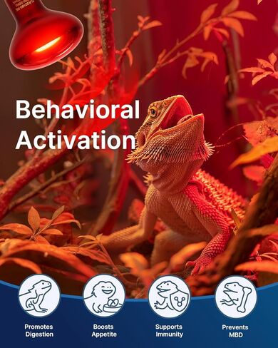 Flsnt 2 حزمة المصابيح الزواحف الحمراء المصباح ، 75 واط أشعة الأشعة تحت الحمراء ضوء بقعة البقعة للسلاحف ، القداس الذروة ، بيثون الكرة ، التنين الملتحي ، الدجاج in Kuwait