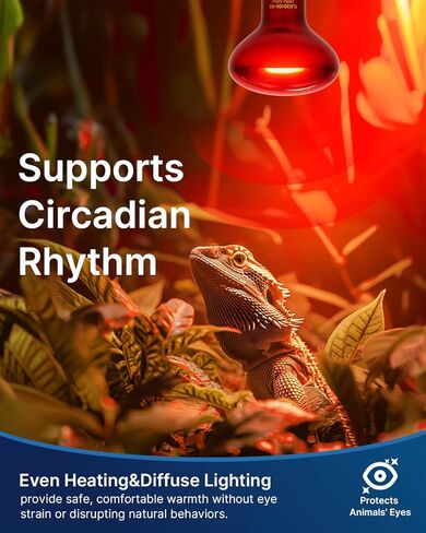 Flsnt 2 حزمة المصابيح الزواحف الحمراء المصباح ، 75 واط أشعة الأشعة تحت الحمراء ضوء بقعة البقعة للسلاحف ، القداس الذروة ، بيثون الكرة ، التنين الملتحي ، الدجاج in Kuwait