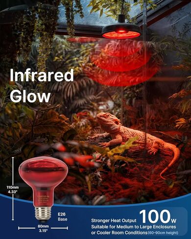 Flsnt 2 حزمة المصابيح الزواحف الحمراء المصباح ، 75 واط أشعة الأشعة تحت الحمراء ضوء بقعة البقعة للسلاحف ، القداس الذروة ، بيثون الكرة ، التنين الملتحي ، الدجاج in Kuwait