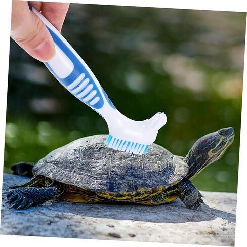 3pcs Aquascaping Tools Turtle Shell and Tortoise Brush Cleaning Brush for Toys for Turtles Reusable in Saudi Arabia