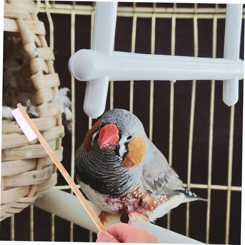 VANZACK 2pcs Bird Cage Cleaning Brush and Shovel Set Bird Poop Cleaner Tools for Small Animal Cages Easy to Use PET Cleaning Supplies in Saudi Arabia