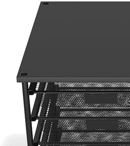 Staples TRU RED 12-Compartment Wire Mesh File Organizer, Matte Black (TR57535) in Saudi Arabia