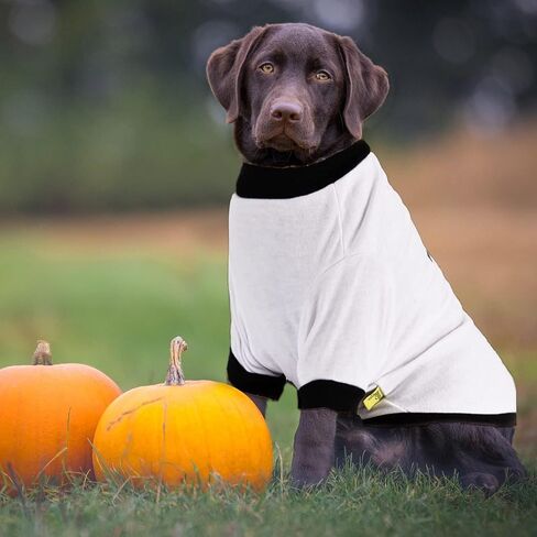 Nacoco Halloween Dog Ghost Hoodies - قميص زي الكلب المحملات للكلاب الصغيرة مضحك لطيف (s) in Kuwait