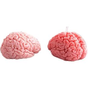 Artifical Brain Candle Silicone Mold Decorative Human Brain Shape, Halloween Party Decoration Festival Gifts in Saudi Arabia