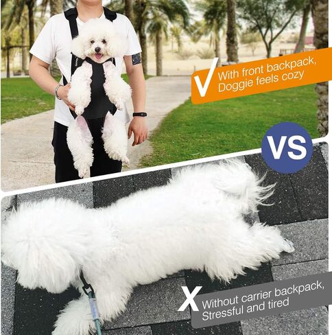 Pawaboo Pet Dog Cog Carrier Backpacks ، ساقين Out Pet Carrier Backpack للكلاب ، حاملات الصدر القابلة للتعديل سهلة الملاءمة للكلاب الصغيرة المتوسطة الحرة للتخييم في المشي لمسافات طويلة ، S ، الأسود in Kuwait