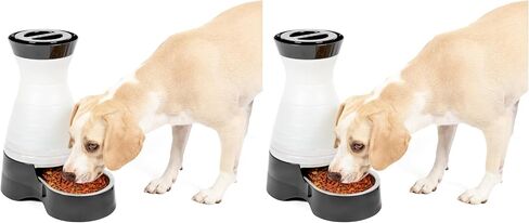 PetSafe Healthy Pet Food Station - Medium, 4 lb Kibble Capacity - Automatic Cat & Dog Feeder - Removable Stainless Steel Bowl Resists Corrosion & Stands Up to Frequent Use - Easy to Fill & Clean in Saudi Arabia