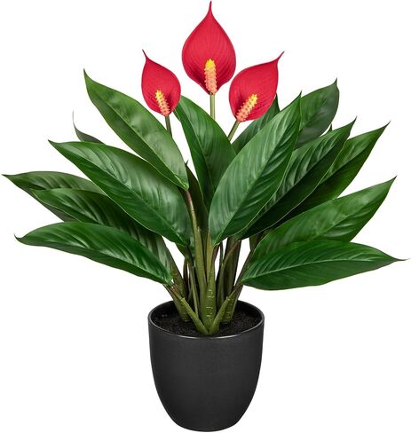 13.8 بوصة نبات Monstera المزيف بوعاء، نباتات عصارية صناعية في وعاء سيراميك نبات استوائي صناعي للاستخدام الداخلي والخارجي والمنزل والمكتب ورف الطاولة وديكور المزرعة in Kuwait