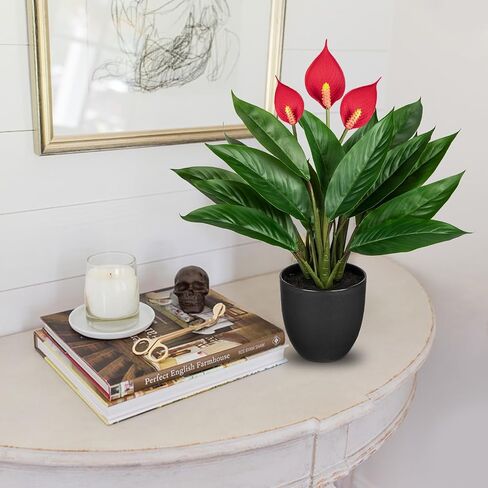 13.8 بوصة نبات Monstera المزيف بوعاء، نباتات عصارية صناعية في وعاء سيراميك نبات استوائي صناعي للاستخدام الداخلي والخارجي والمنزل والمكتب ورف الطاولة وديكور المزرعة in Kuwait
