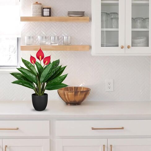 13.8 بوصة نبات Monstera المزيف بوعاء، نباتات عصارية صناعية في وعاء سيراميك نبات استوائي صناعي للاستخدام الداخلي والخارجي والمنزل والمكتب ورف الطاولة وديكور المزرعة in Kuwait