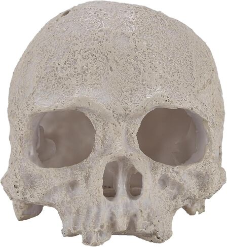 Resin Reptile Hideout for Tank Realistic Skull Decor for Terrarium White Decorative Skeleton Head Hides and Caves for Fish Ball Python Axolotl Tarantula in Saudi Arabia