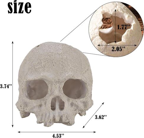 Resin Reptile Hideout for Tank Realistic Skull Decor for Terrarium White Decorative Skeleton Head Hides and Caves for Fish Ball Python Axolotl Tarantula in Saudi Arabia
