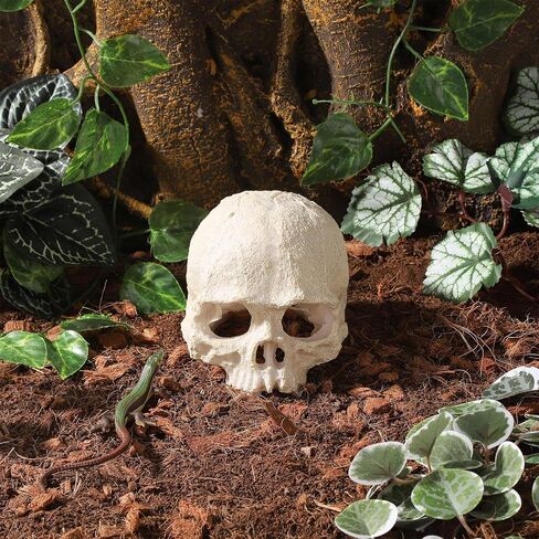 Resin Reptile Hideout for Tank Realistic Skull Decor for Terrarium White Decorative Skeleton Head Hides and Caves for Fish Ball Python Axolotl Tarantula in Saudi Arabia