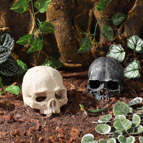 راتنج الزواحف مخبأ للدبابات ديكور جمجمة واقعية لتراريوم تيراريوم تزين هيكل عظمي يرتبات وكهوف لكرة الأسماك python axolotl tarantula in Kuwait
