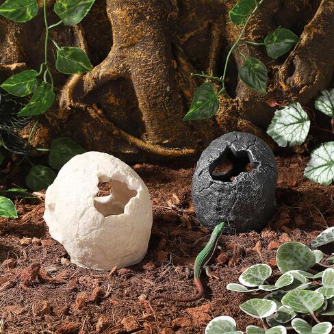 راتنج الزواحف مخبأ للدبابات ديكور جمجمة واقعية لتراريوم تيراريوم تزين هيكل عظمي يرتبات وكهوف لكرة الأسماك python axolotl tarantula in Kuwait