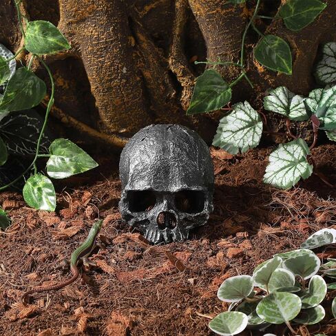 راتنج الزواحف مخبأ للدبابات ديكور جمجمة واقعية لتراريوم تيراريوم تزين هيكل عظمي يرتبات وكهوف لكرة الأسماك python axolotl tarantula in Kuwait