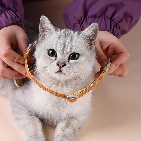 Ganazono 1Set Cartoon Carrot Cat and Leash للقطط خفيفة الوزن من السهل ارتداء تصميم رائع للمشي والتدريب في الهواء الطلق in Saudi Arabia
