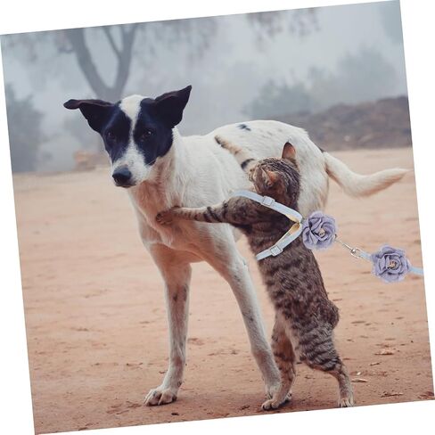 HEMOTON Cat Harness Traction Rope for Outdoor Walking Lightweight Cotton and Safe Pet Leash for Cats and Kittens Comfortable and Easy to Wear in Saudi Arabia