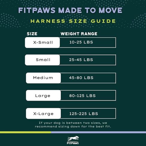 FITPAWS مصنوعة لتحريك تسخير لا البلاغ | ملاءمة قابلة للتعديل | مثالي لتدريب الكلاب ، إعادة التأهيل ، والطاعة | للكلاب 10-225 رطلا. (تيل ، متوسطة) in Kuwait