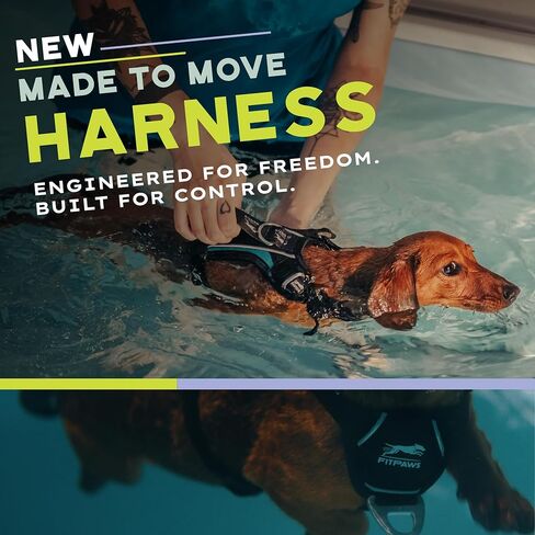 FITPAWS مصنوعة لتحريك تسخير لا البلاغ | ملاءمة قابلة للتعديل | مثالي لتدريب الكلاب ، إعادة التأهيل ، والطاعة | للكلاب 10-225 رطلا. (تيل ، متوسطة) in Kuwait