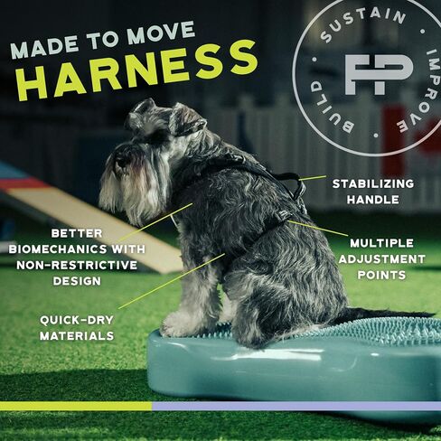 FITPAWS مصنوعة لتحريك تسخير لا البلاغ | ملاءمة قابلة للتعديل | مثالي لتدريب الكلاب ، إعادة التأهيل ، والطاعة | للكلاب 10-225 رطلا. (تيل ، متوسطة) in Kuwait