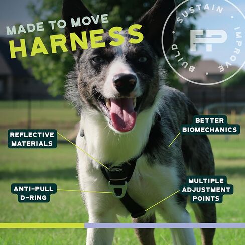 FITPAWS مصنوعة لتحريك تسخير لا البلاغ | ملاءمة قابلة للتعديل | مثالي لتدريب الكلاب ، إعادة التأهيل ، والطاعة | للكلاب 10-225 رطلا. (تيل ، متوسطة) in Kuwait