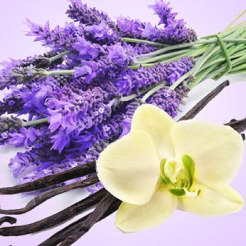 لافندر الفانيليا زيت العطر (64 أوقية إبريق) لصنع الشموع ، صنع الصابون ، صنع تورتة ، بخاخات الغرفة ، المستحضرات ، معطرات السيارات ، الوحل ، قنابل الحمام ، المدفوعات ... in Saudi Arabia