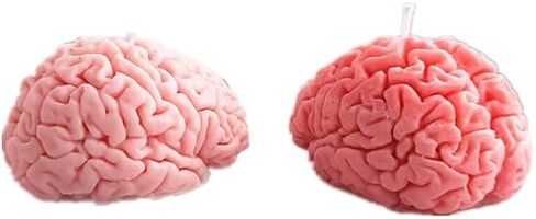 Artifical Brain Candle Silicone Mold Decorative Human Brain Shape, Halloween Party Decoration Festival Gifts in Saudi Arabia
